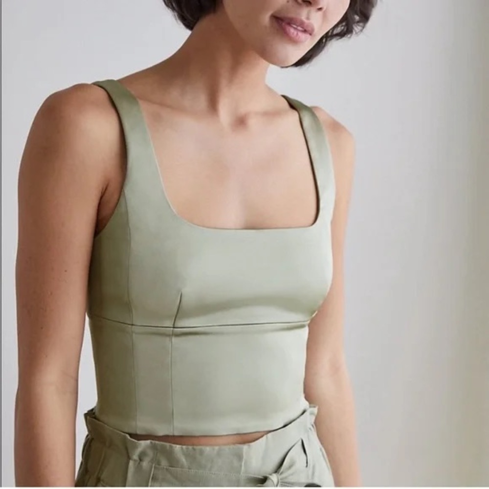 Aritzia Wilfred Shine Bustier Top